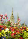 04-25-01 1802 Chartres fleurs h.jpg (50520 bytes)