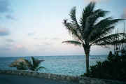04-25-02 012_9a Snorkeling Beach.jpg (22998 bytes)